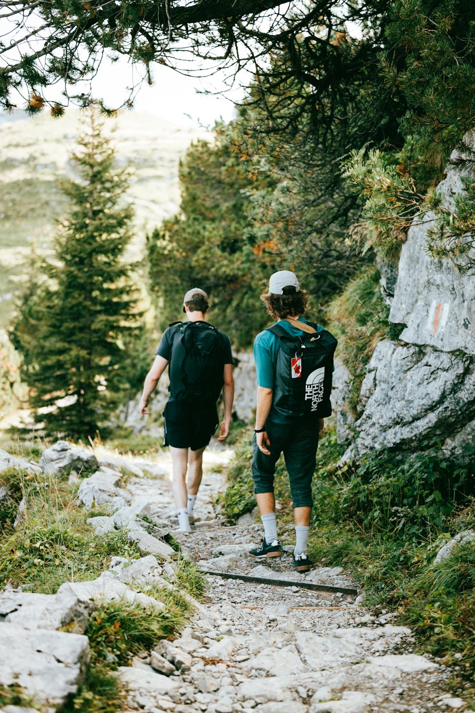 Two hikers walk a rocky mountain trail through pine trees.